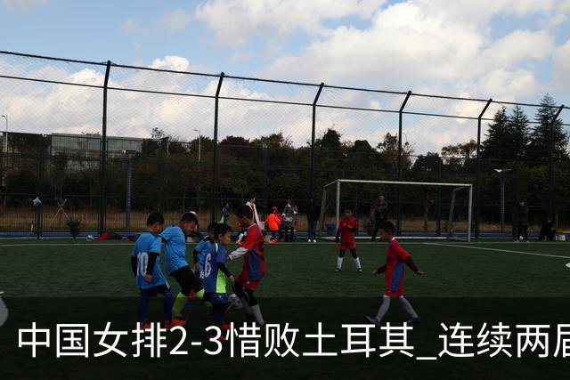 中国女排2-3惜败土耳其 连续两届奥运会无缘4强